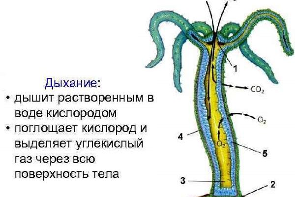 Кракен площадка