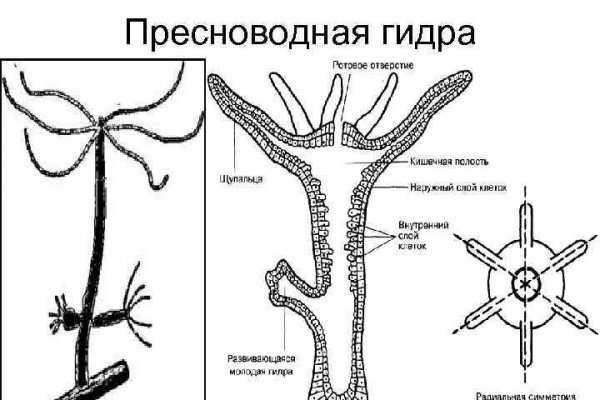 Ссылка для входа на рамп