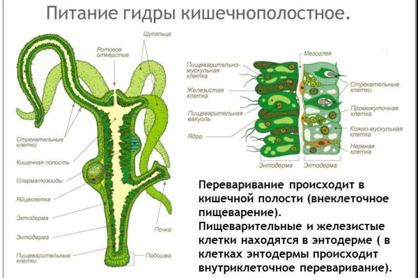 Кракен kr2web in