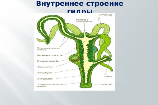 Кракен ссылка на сайт