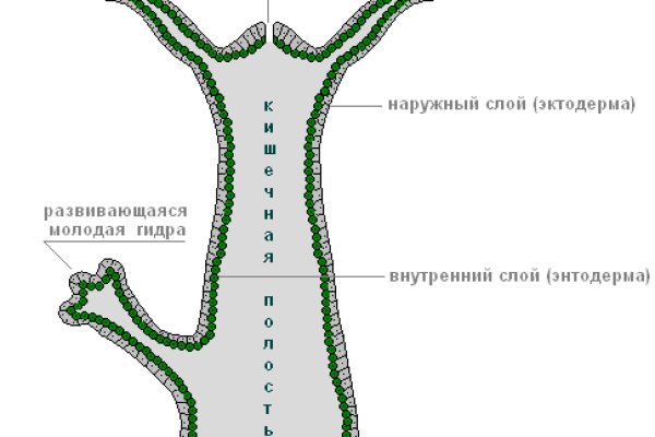 Кракен актуальная ссылка kraken torion net