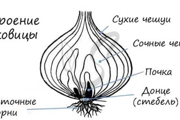 Как зарегаться на кракене