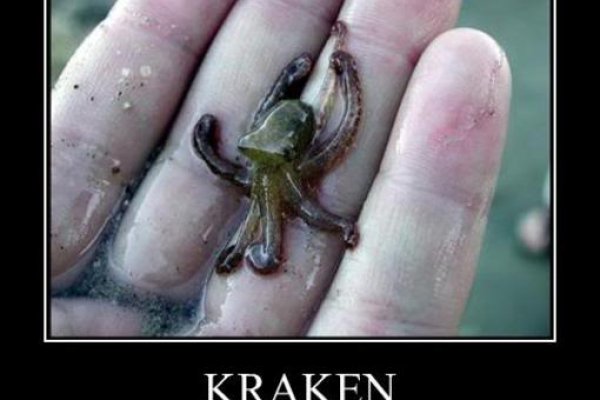 Kraken forum